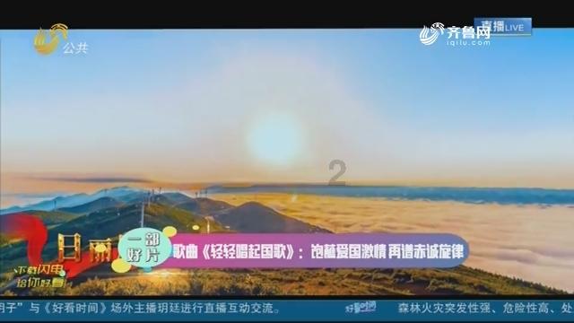 可爱小猫向上跳
