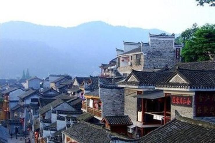 唐梅宋梅含苞待放 杭州超山万棵梅树迎春
